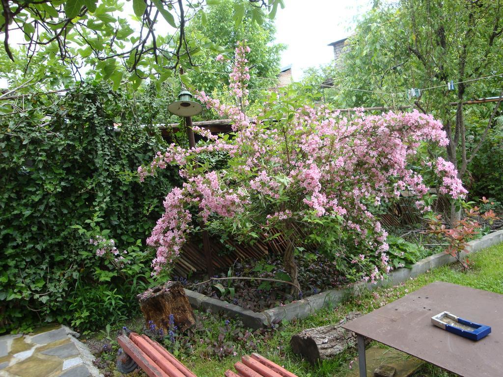 Tamari Guest House Telavi Exteriör bild