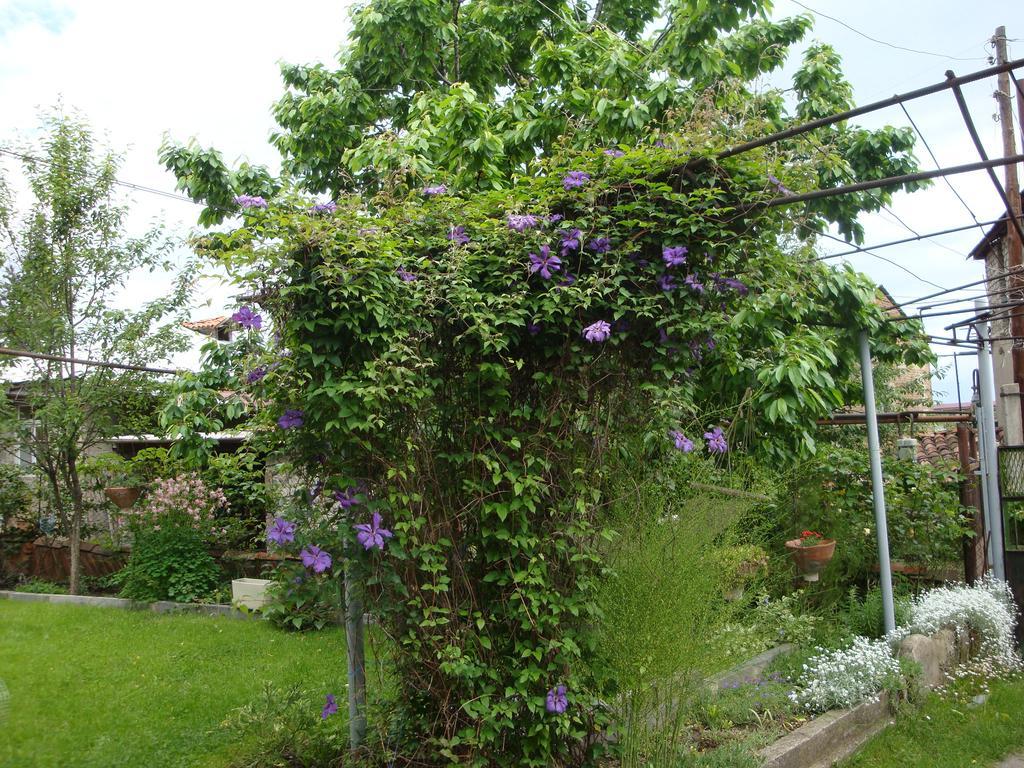 Tamari Guest House Telavi Exteriör bild